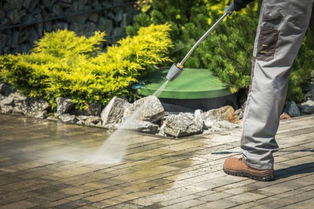 Best Soft Washing for Delicate Surfaces in Dumas, TX